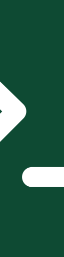 Agentsh
