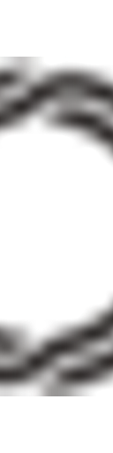 Bezel