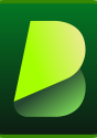 BlipCut AI Video Translator