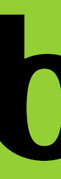 Bloomerang