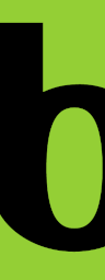 Bloomerang