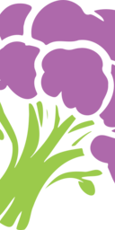 Broccoli AI
