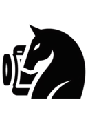 CameraChessWeb