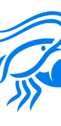 ClawX