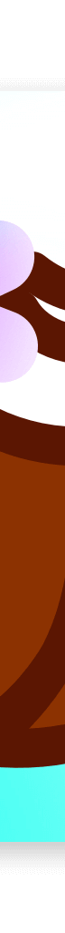 Coco Server