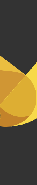CodeCanary