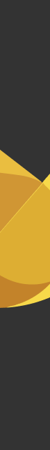 CodeCanary