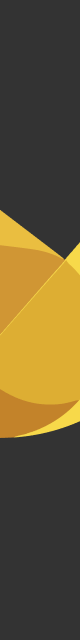 CodeCanary