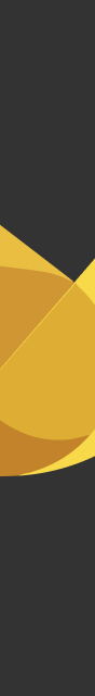 CodeCanary