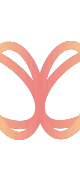 DataMorf