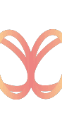 DataMorf