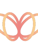 DataMorf
