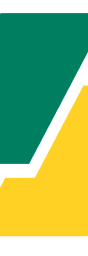 Debitura