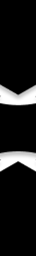 FlowLens