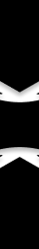 FlowLens