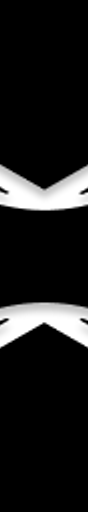 FlowLens