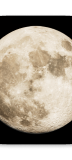 fullmoon