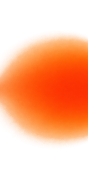 Goldfish