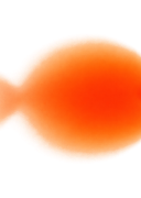 Goldfish