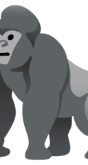 Gorilla Terminal
