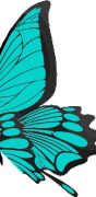 Hanlp Lucene Plugin