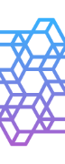 Holistic AI