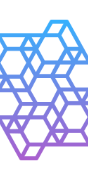 Holistic AI