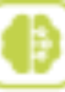 Kamoto.AI
