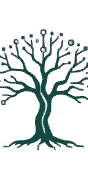 KnowTree