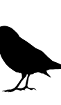 LakonLab