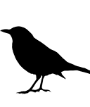 LakonLab