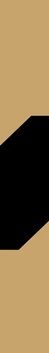 Magnifi