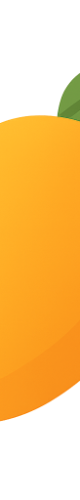 MangoDesk