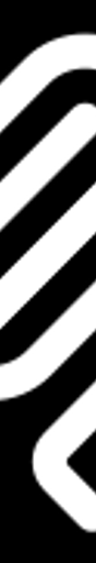 Mcp Shodan