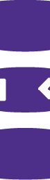 MeetGeek