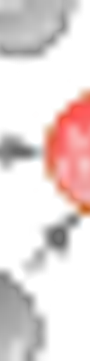 Mrpt