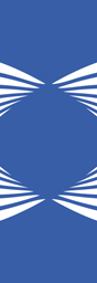Nanox.AI