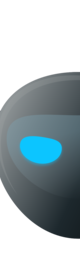 Ninja AI