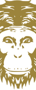 Omneky