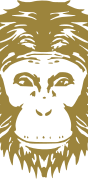 Omneky