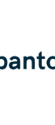 Panto AI