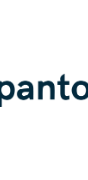 Panto AI