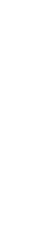 Pilot