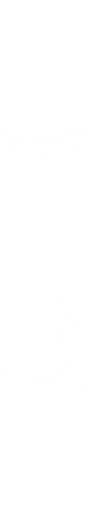 Pilot
