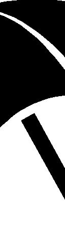 Pleom