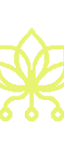Pollinations