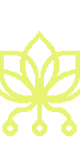 Pollinations