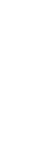 Rig