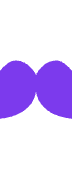 Roger • The Google Ads AI Agent