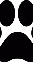ShortVideoGen
